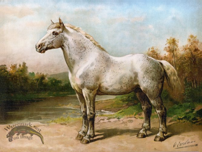 (image for) Boulon Horse by Eerelman