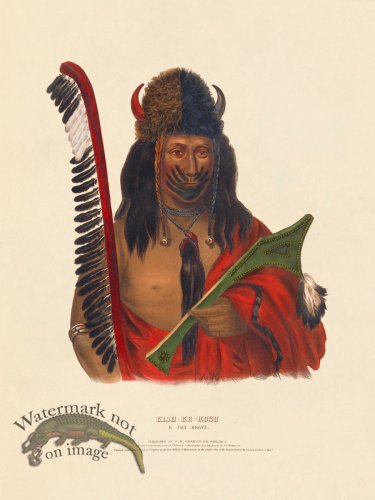 (image for) Kish-ke-kosh Fox