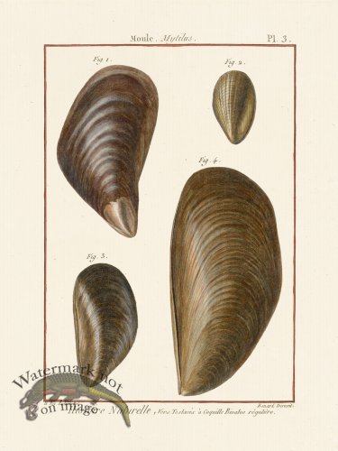 Diderot Shell 03