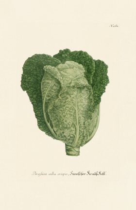 (image for) Weinmann PL 261