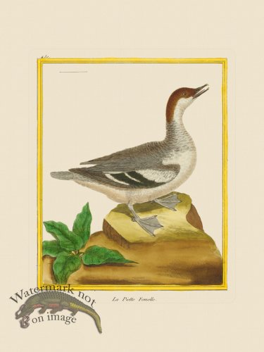 (image for) Martinet Bird 450