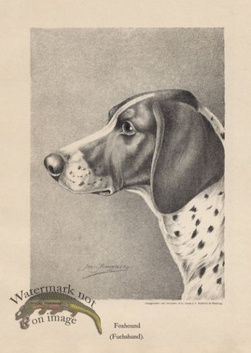 (image for) 1890s Dogs 24