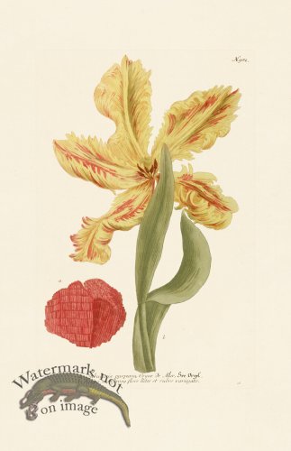 (image for) Weinmann Pl 982