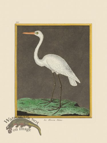 (image for) Martinet Bird 886 uc