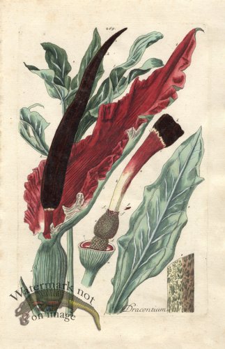 (image for) Blackwell GE 269 b