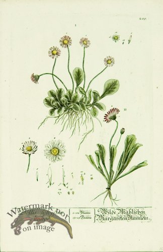 Blackwell German 139