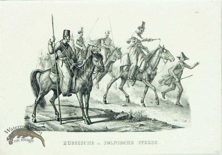 (image for) Russian\'s Polish horses