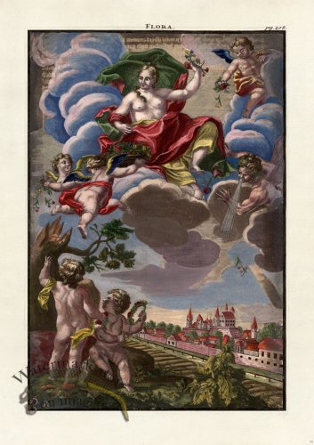 (image for) Volckamer 100