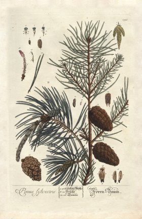 (image for) Blackwell GE 190