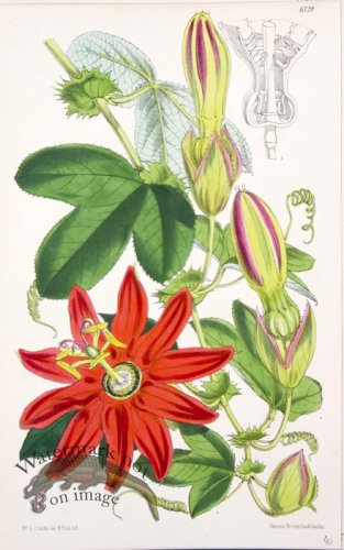 (image for) CBMS_0017