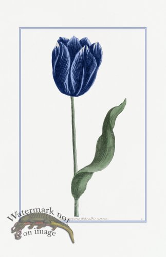 (image for) Blue Weinmann S 14