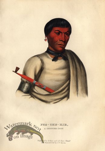 (image for) Pee-Che-Kir