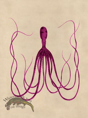(image for) Octopus Pink 23