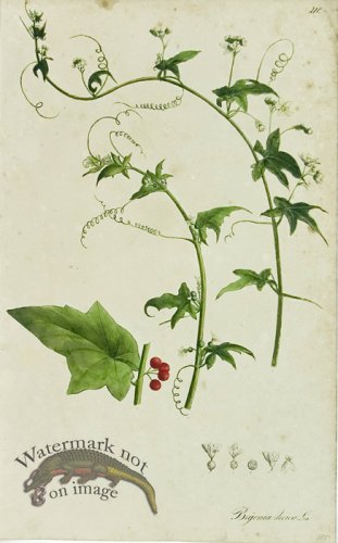 (image for) 1828_Gmp 079