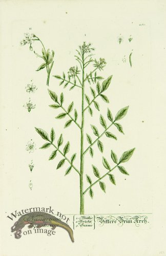 (image for) Blackwell German 250