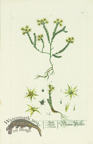 (image for) Blackwell German 264