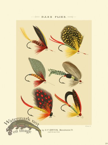 (image for) Favorite Flies 29 Bass