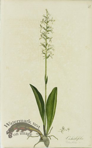 (image for) 1828_Gmp 021