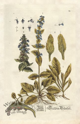 (image for) Blackwell GE 064