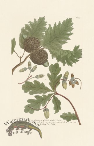 (image for) Weinmann PL 845