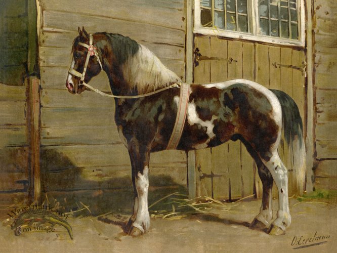 Danish Horse by Eerelman