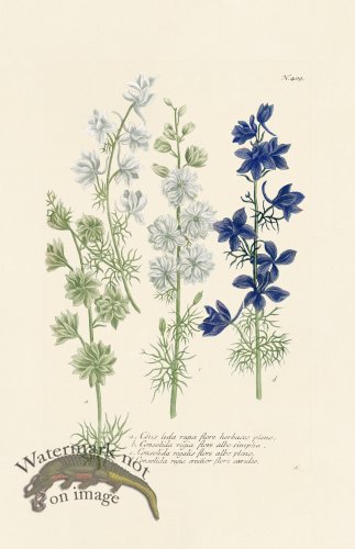 (image for) Weinmann PL 409