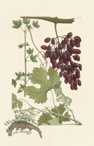 (image for) Weinmann PL 1014