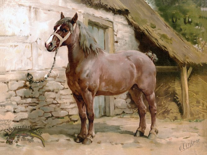 Ardenner Horse by Eerelman