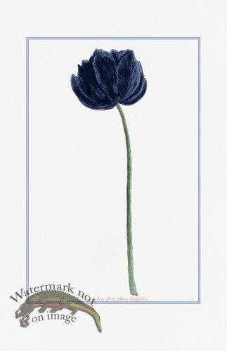 (image for) Blue Weinmann S 09