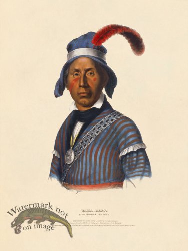 (image for) Yaha-Hajo Seminole