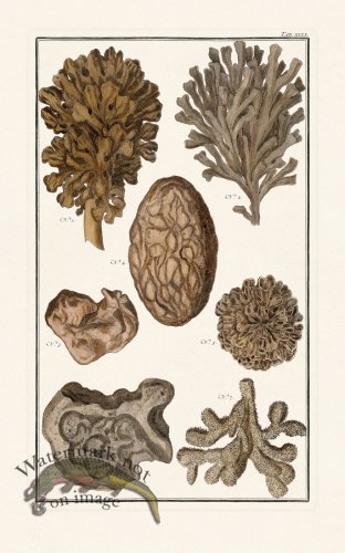 (image for) Seba B2 099