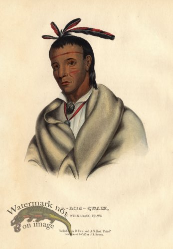 (image for) A-Mis-Quam