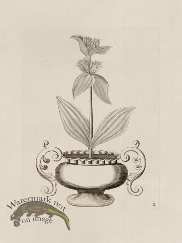 (image for) Potted Plant 02