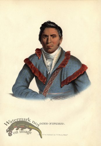 (image for) Oche-Finceco