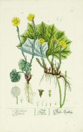 Blackwell German 021