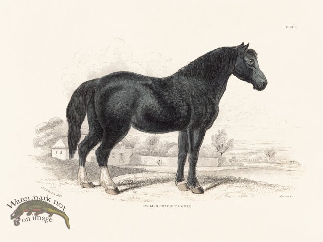 (image for) Jar Horse 05