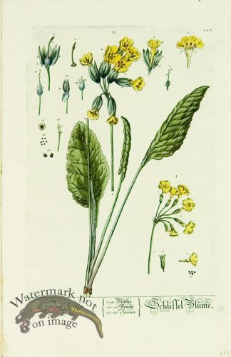 (image for) Blackwell German 228