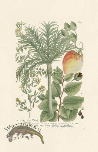 (image for) Weinmann PL 501