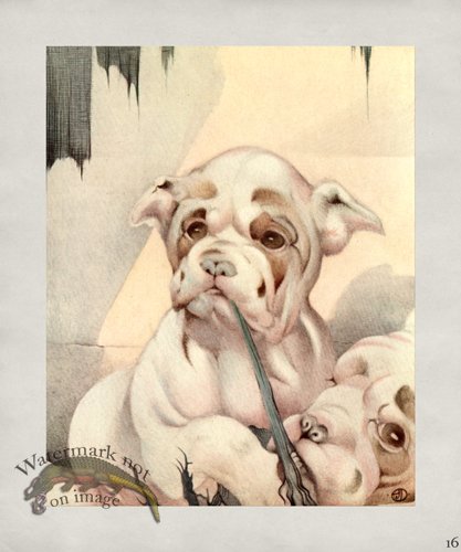 (image for) Puppy Dog 16