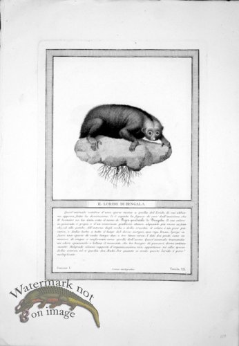 (image for) The_Monkeys_29