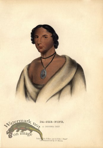 (image for) Pa-She-Nine