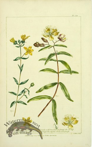 (image for) Philip Miller 051