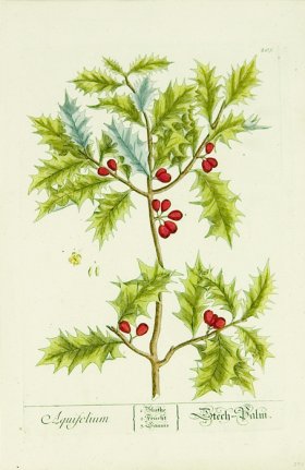 Blackwell German 111