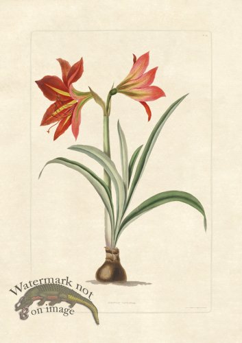 (image for) Edward bury 15