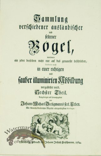 (image for) Seligmann Title Page 2