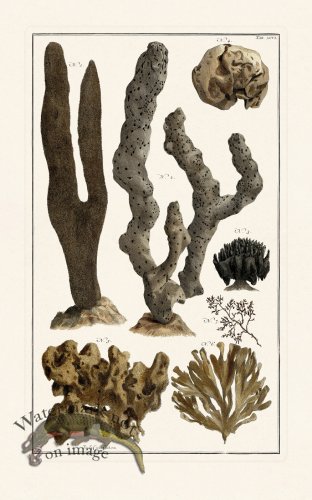 (image for) Seba B2 096