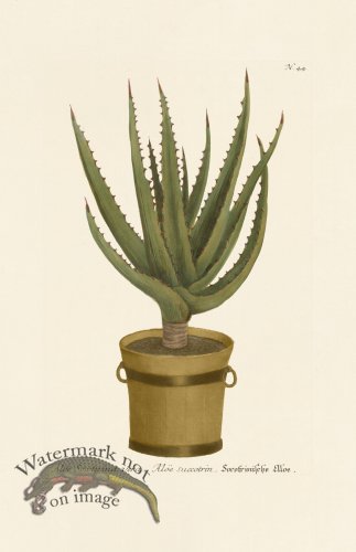 (image for) Weinmann PL 044