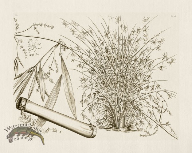 (image for) HORTUS VOL 01 16