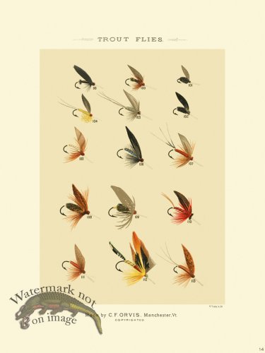 (image for) Favorite Flies 14 Trout