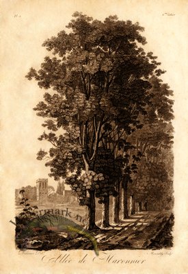 (image for) Defiennes Trees 12 S